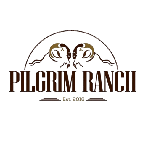 Pilgrim Ranch logo