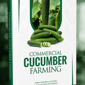 Commercial Cucumber Farming