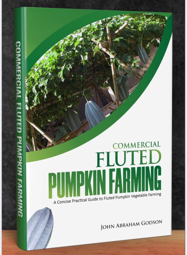 Commercial Fluted Pumpkin Farming